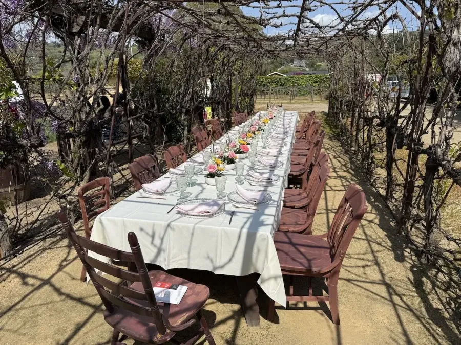 Long table set between the vines with a run of small blossom arrangements and simple place settings — vineyard florals for Hillsborough catering receptions